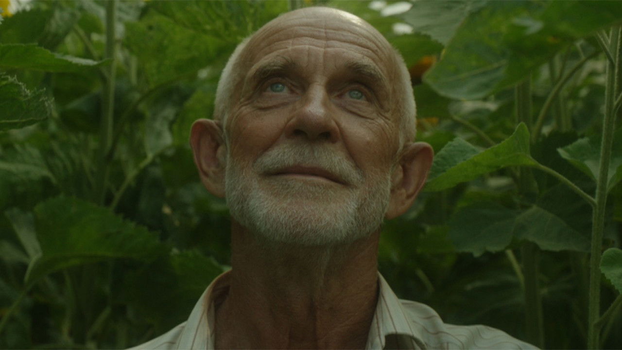 Backdrop for The Gardener