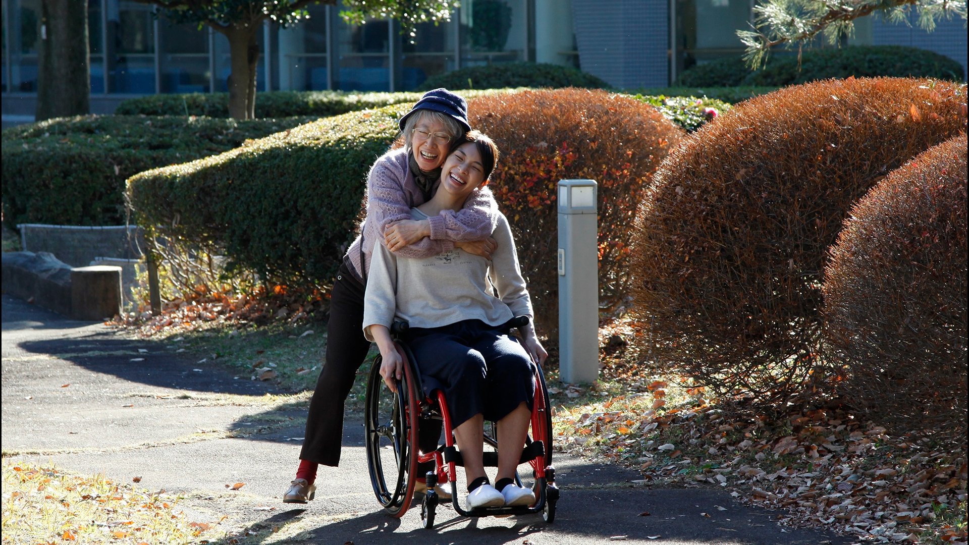 Backdrop for Mango and the Red Wheelchair