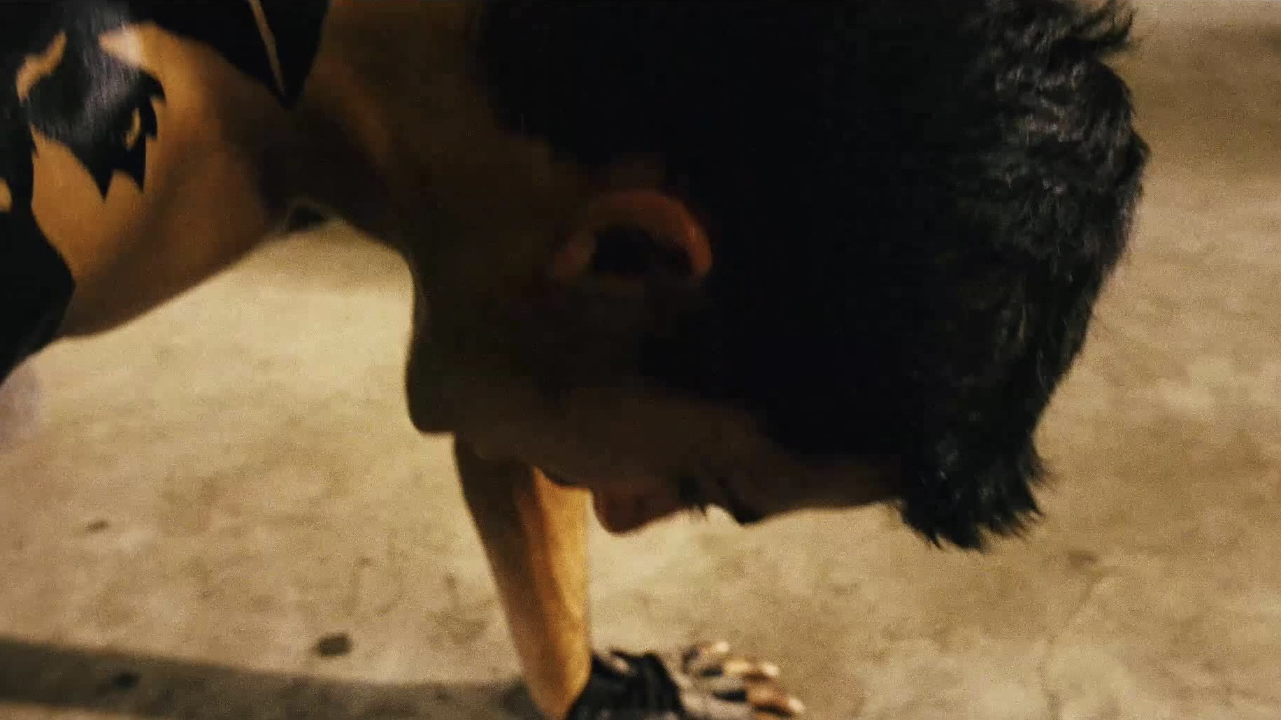 Backdrop for The White Monkey Warrior