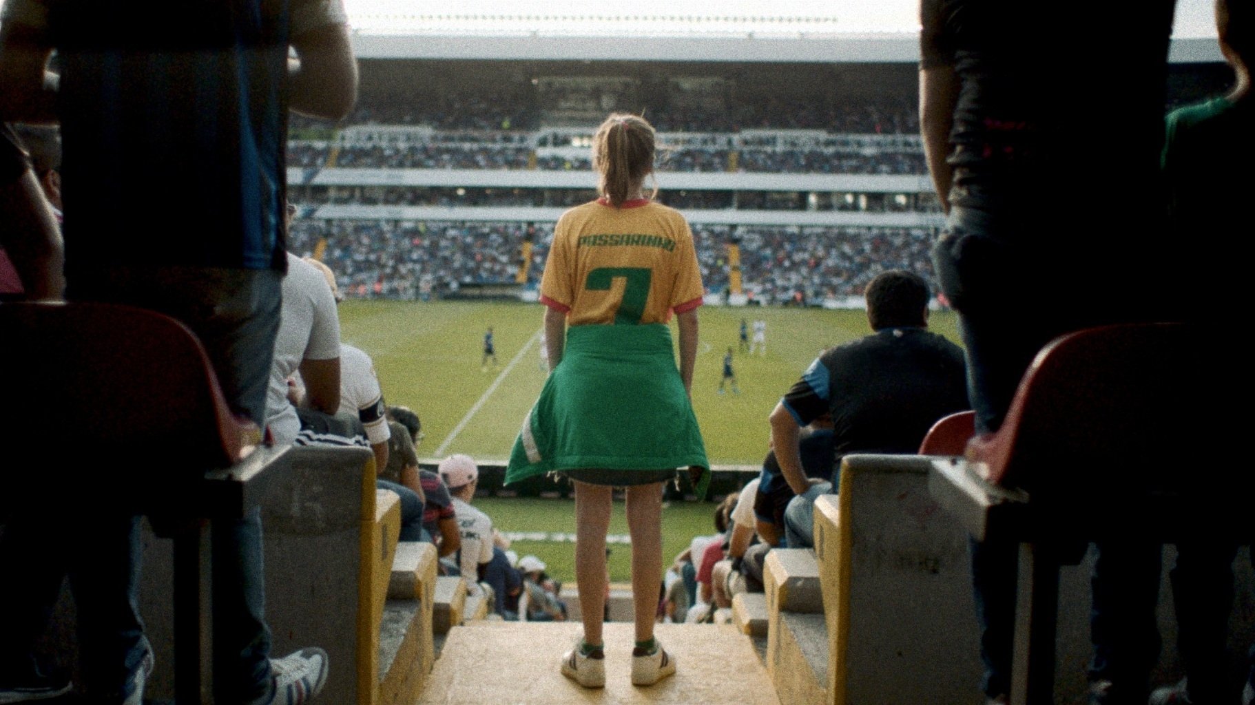 Backdrop for Passarinho