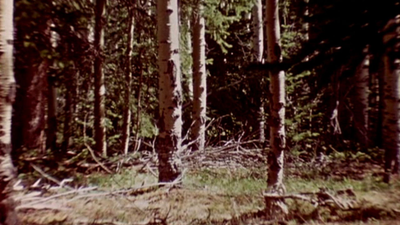 Backdrop for The Wold-Shadow