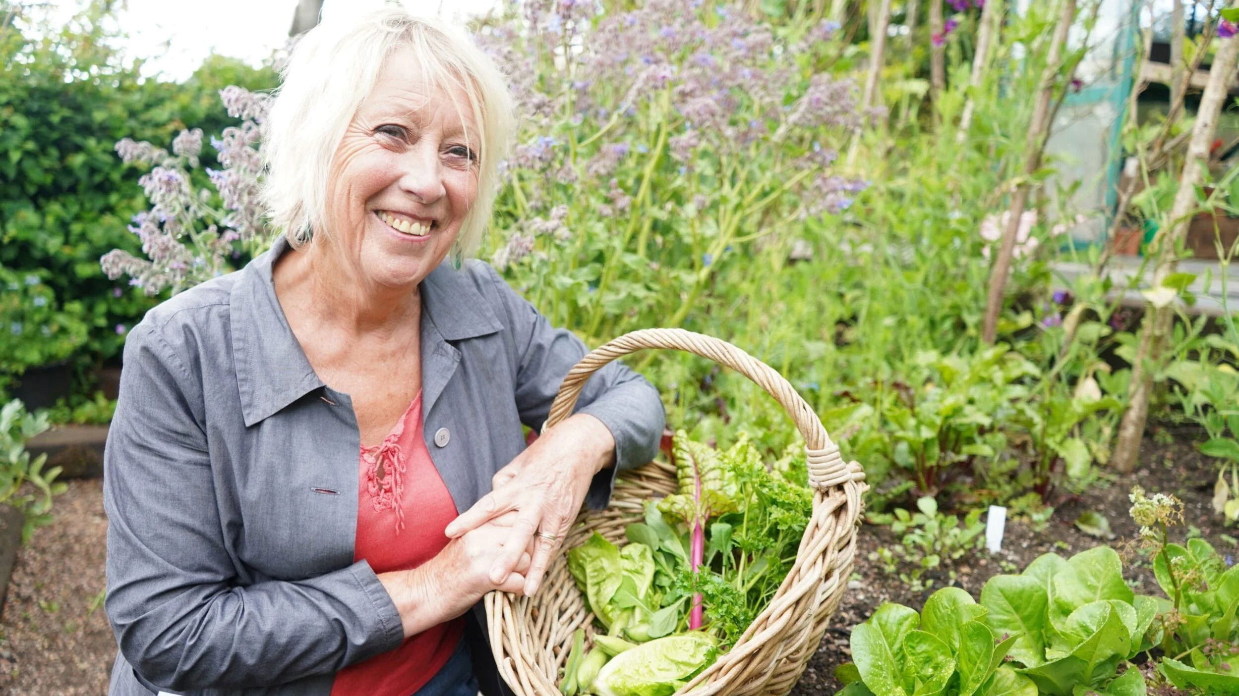 Backdrop for Gardening with Carol Klein