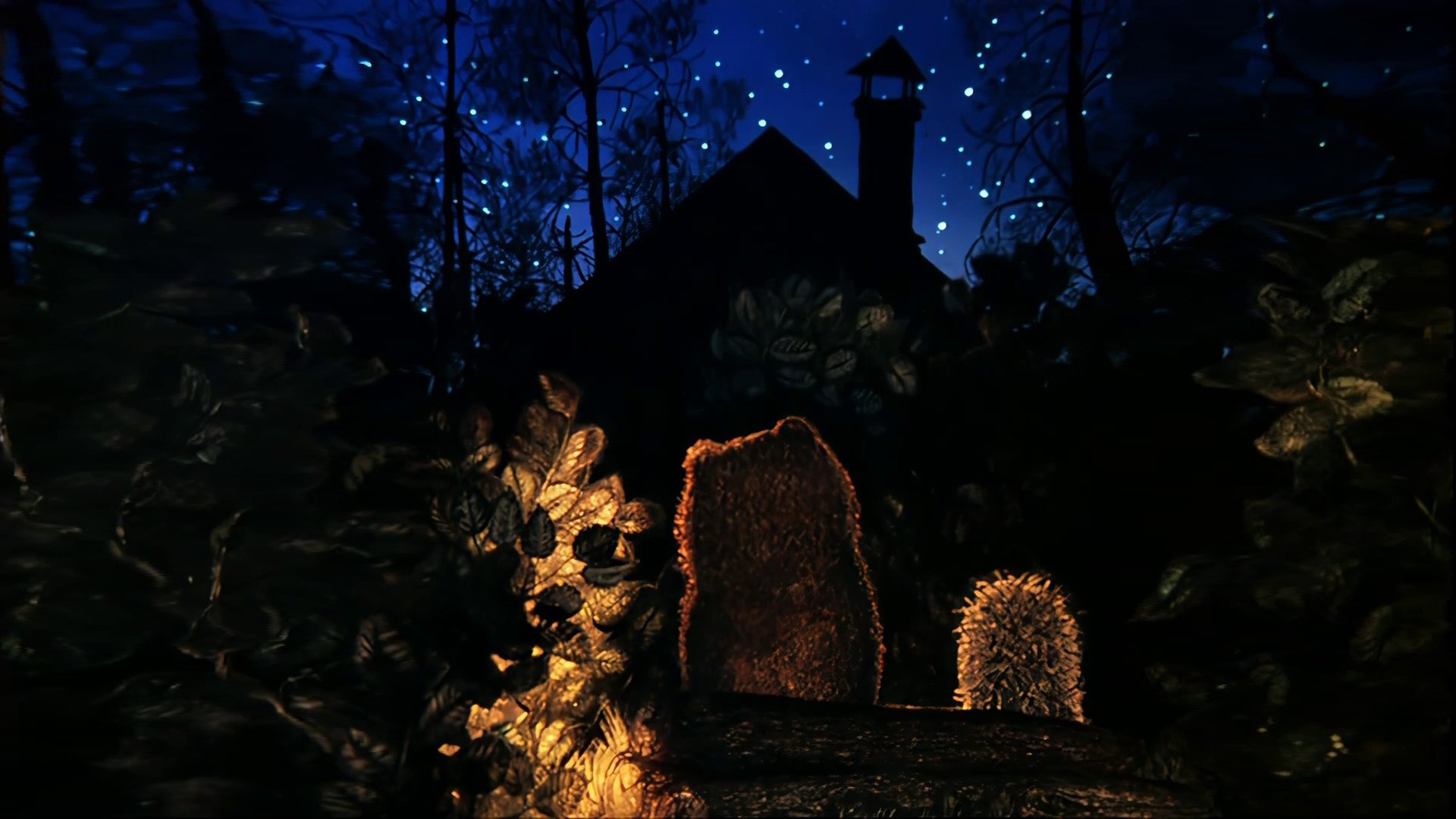 Backdrop for Hedgehog in the Fog