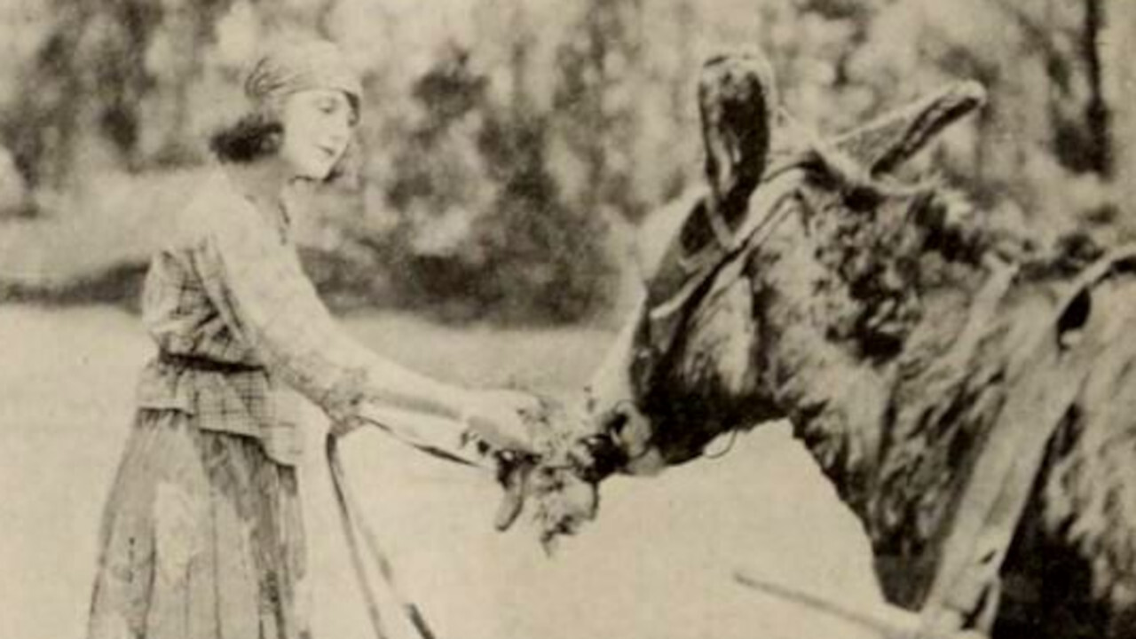 Backdrop for The Only Road