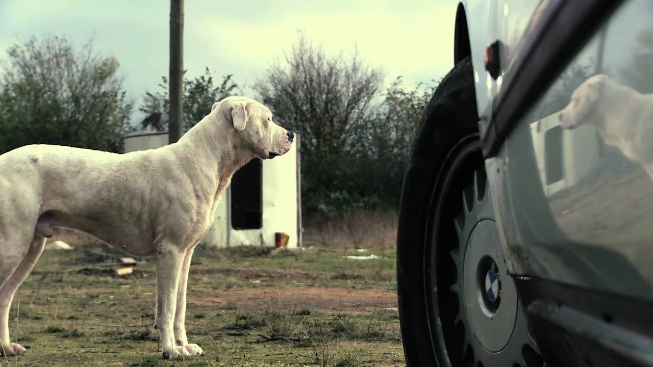 Backdrop for The Lord's Ride