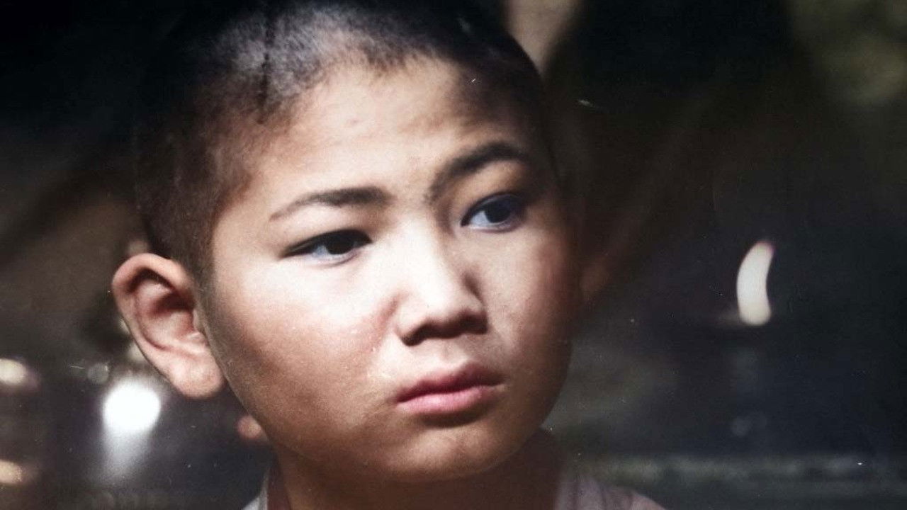 Backdrop for Shepherd Naidan