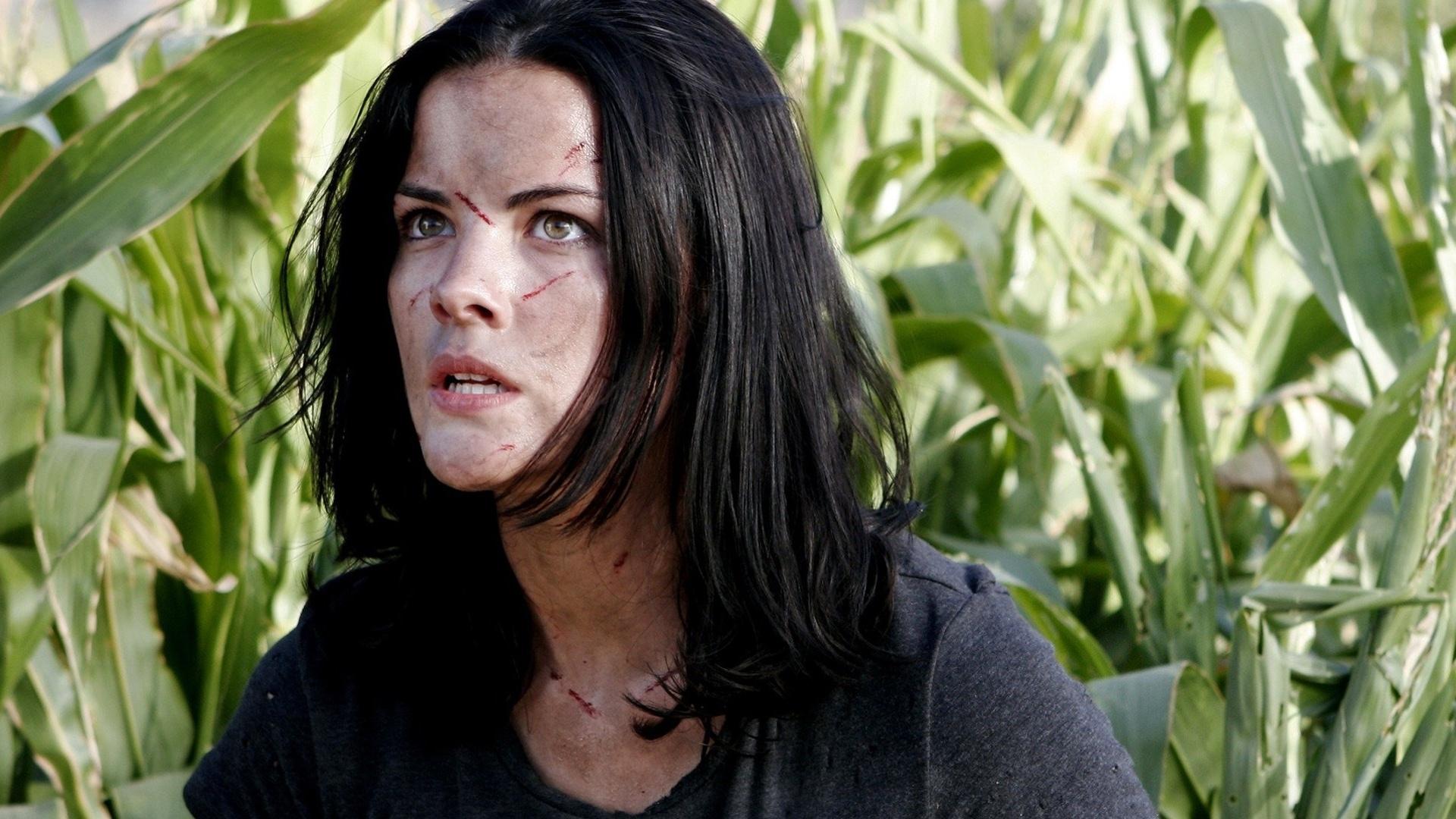 Backdrop for Hallowed Ground