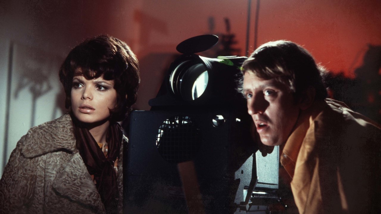 Backdrop for Angels of Terror