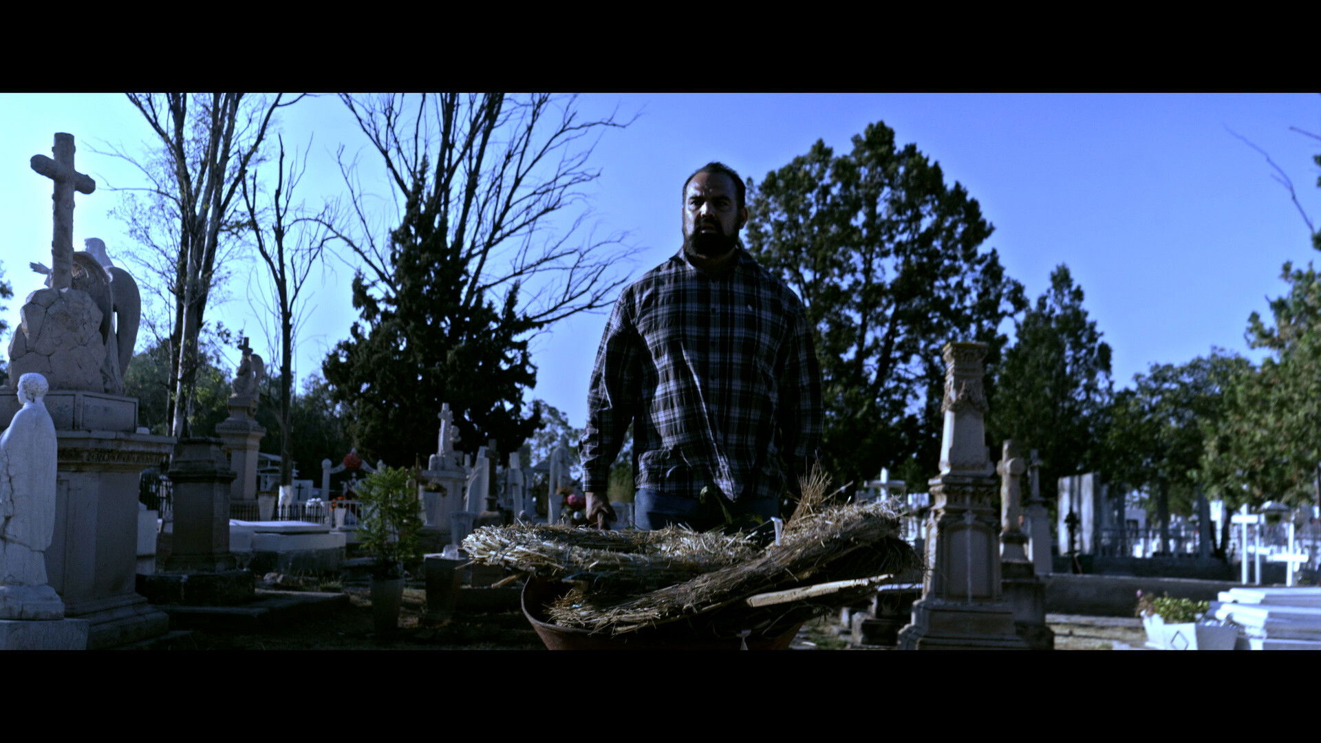 Backdrop for Brujería