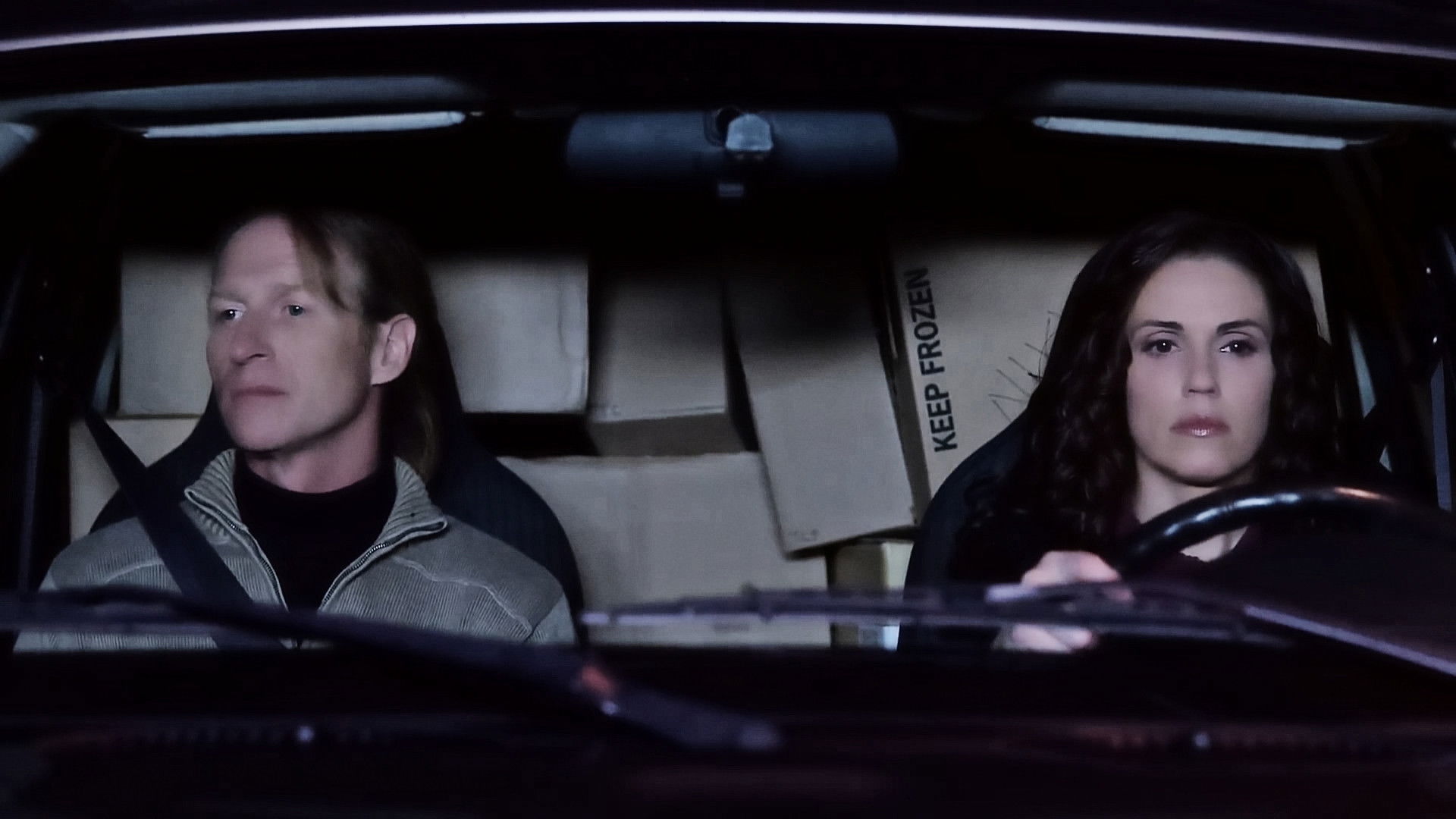 Backdrop for Nikki and the Perfect Stranger