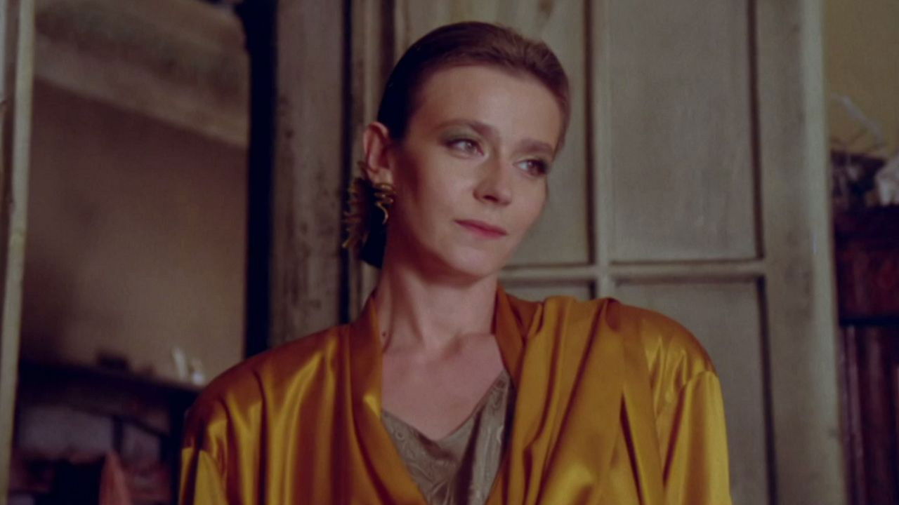 Backdrop for Butterflies