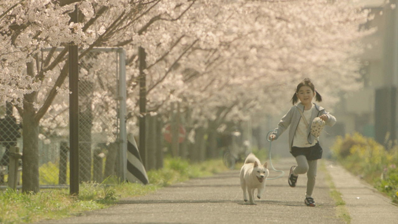 Backdrop for Show Me the Way to the Station