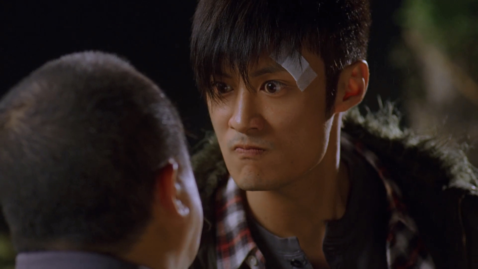 Backdrop for Colour of the Loyalty