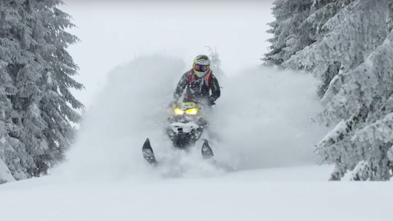 Backdrop for Exploring The Snow - The Final Volume