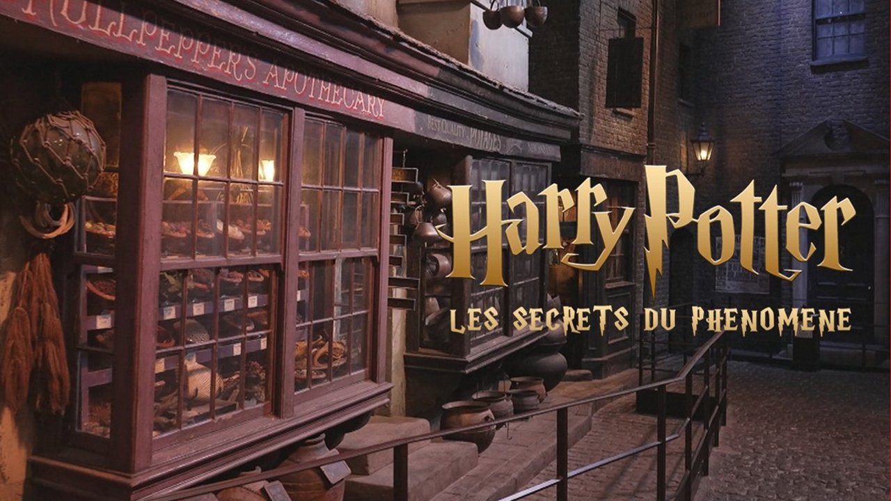 Backdrop for Harry Potter : les secrets du phénomène