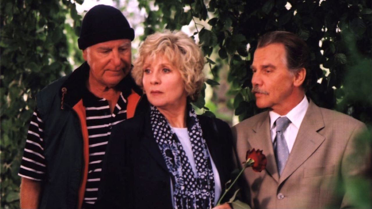 Backdrop for Friendship