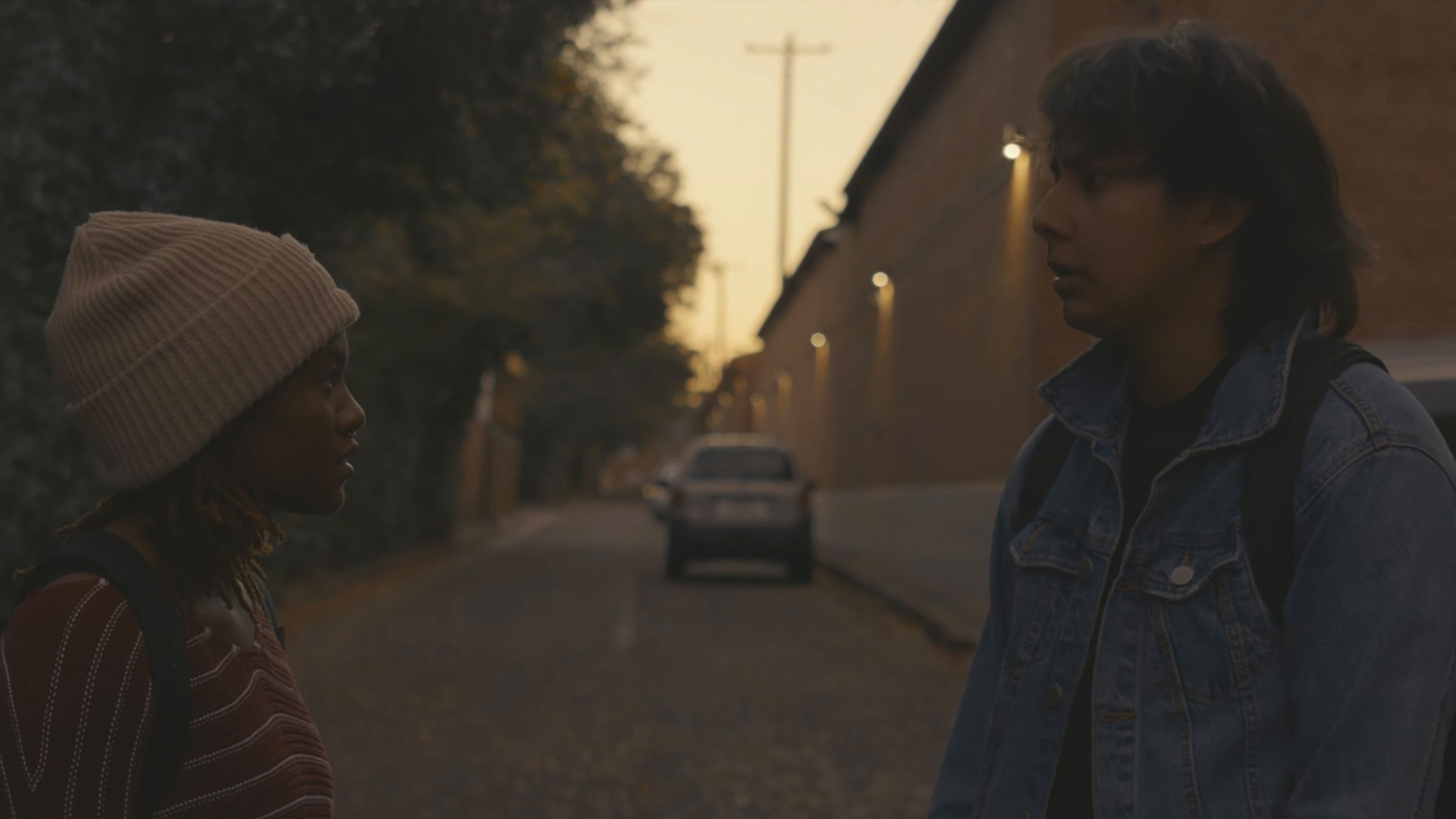 Backdrop for The Walk Home