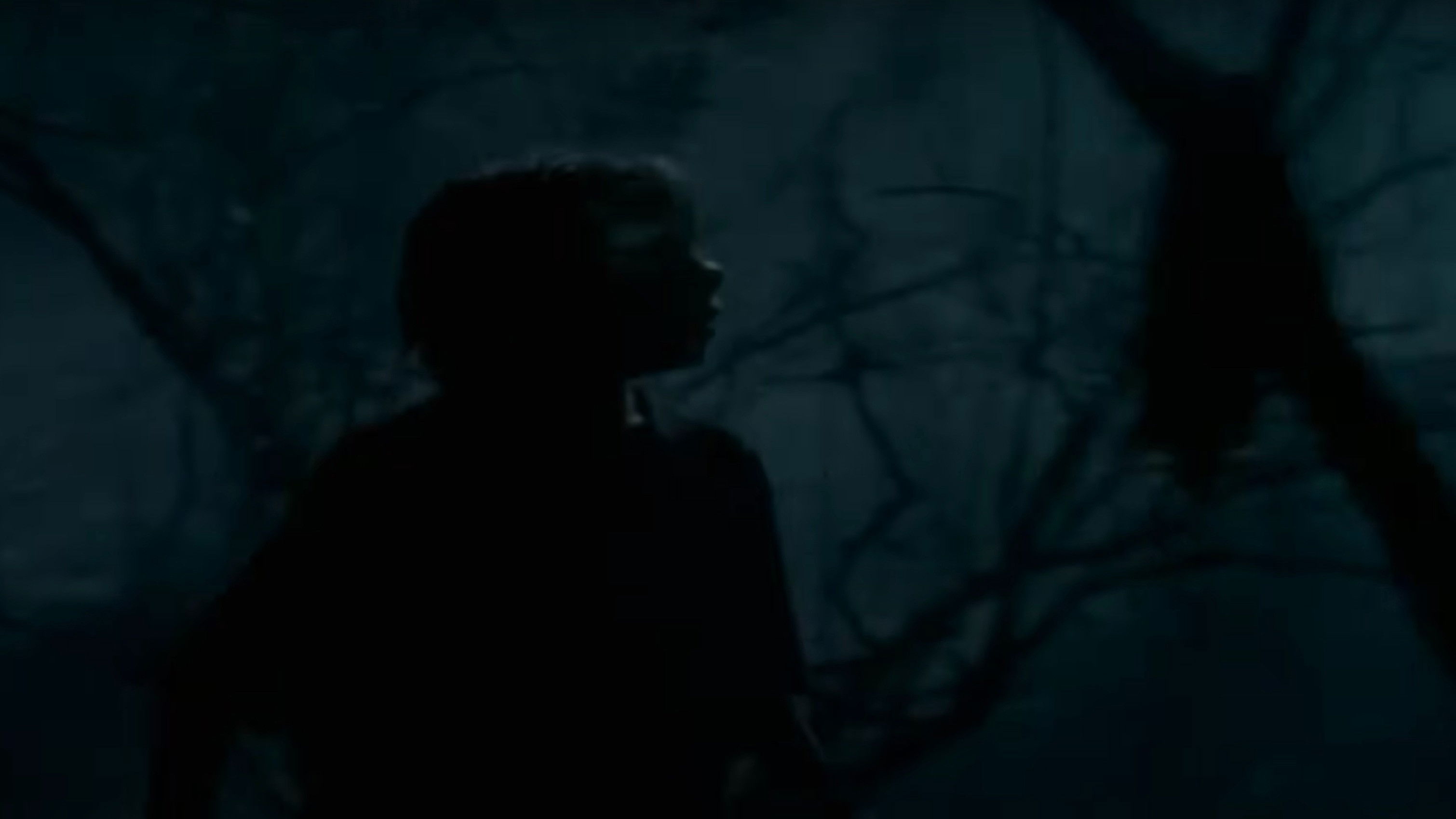 Backdrop for Goosebumps: The Werewolf of Fever Swamp