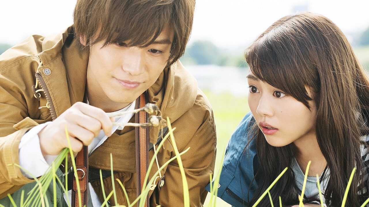 Backdrop for Evergreen Love