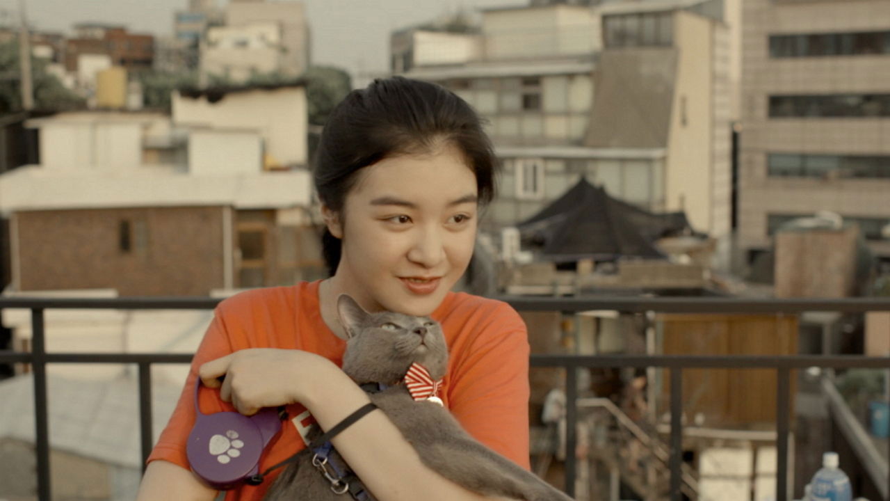 Backdrop for Hello, My Cat