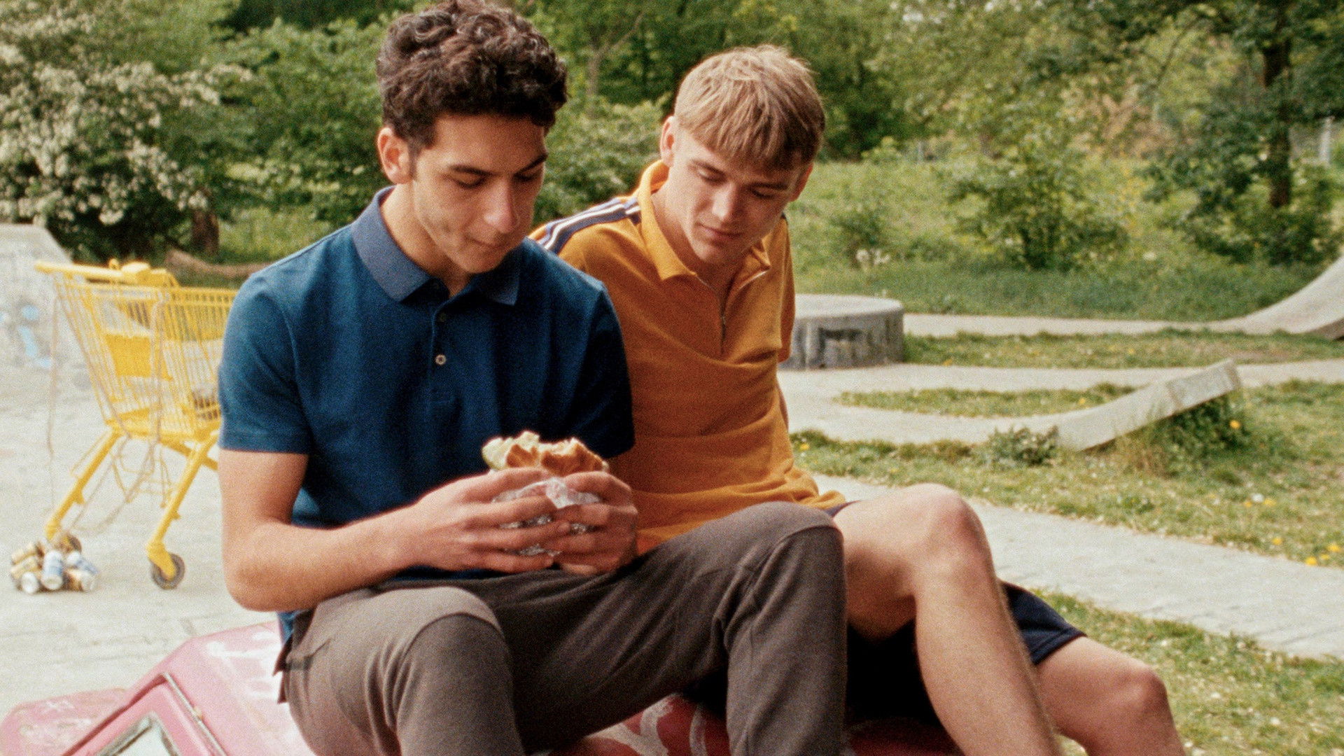 Backdrop for Mehmet & Tim