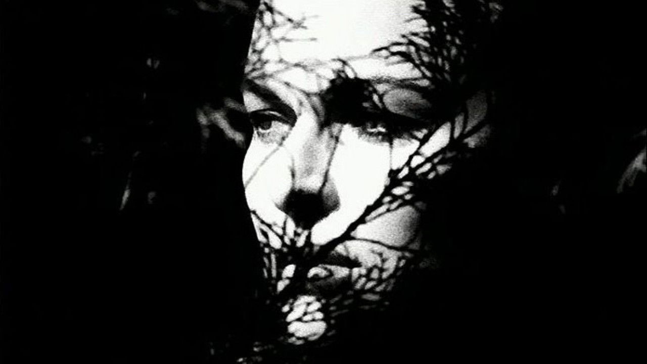 Backdrop for Nocturne 29