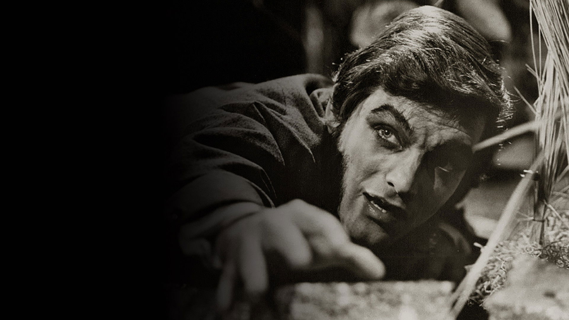 Backdrop for Dark Shadows: The Haunting of Collinwood