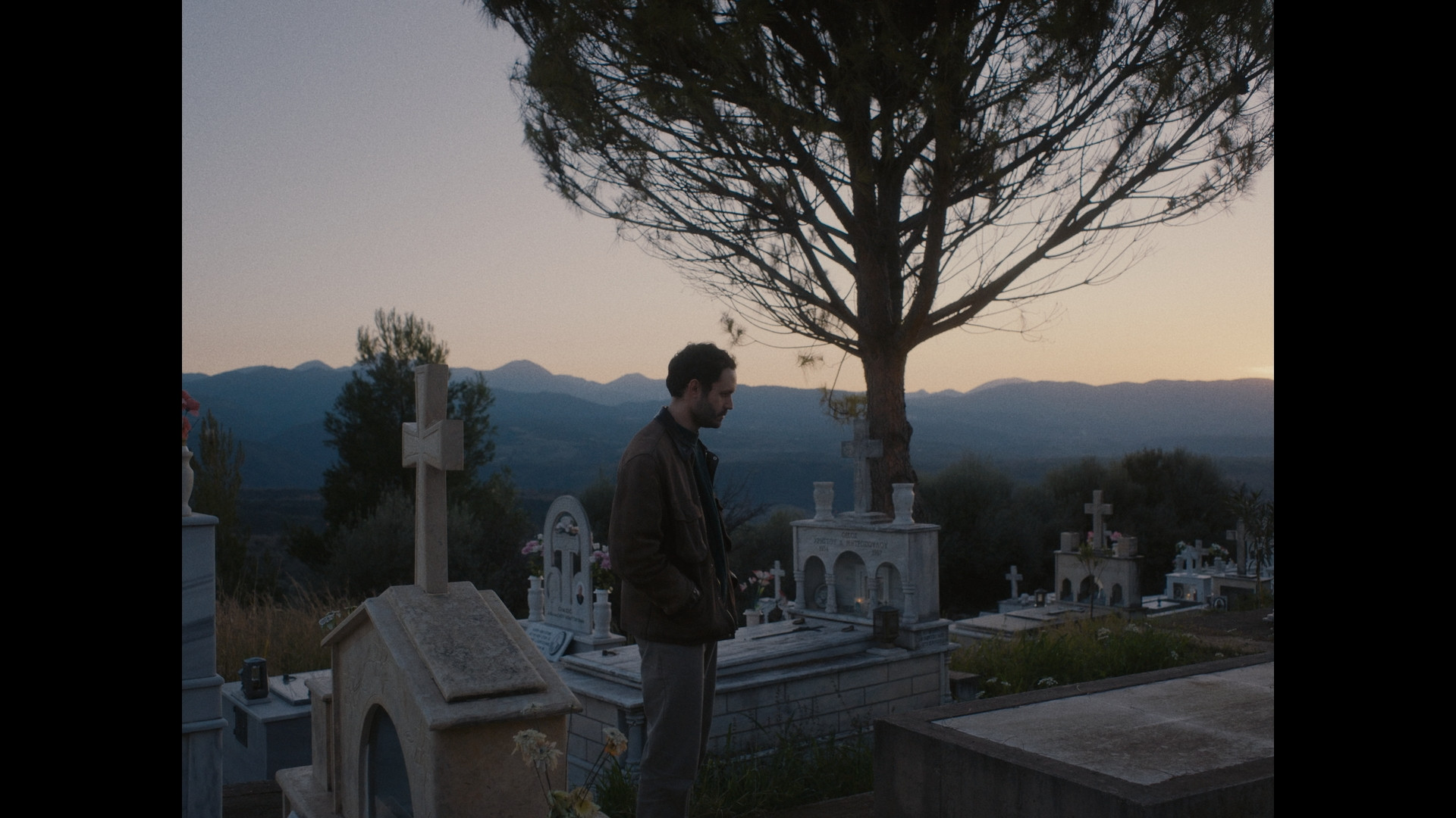 Backdrop for LEURESTHES