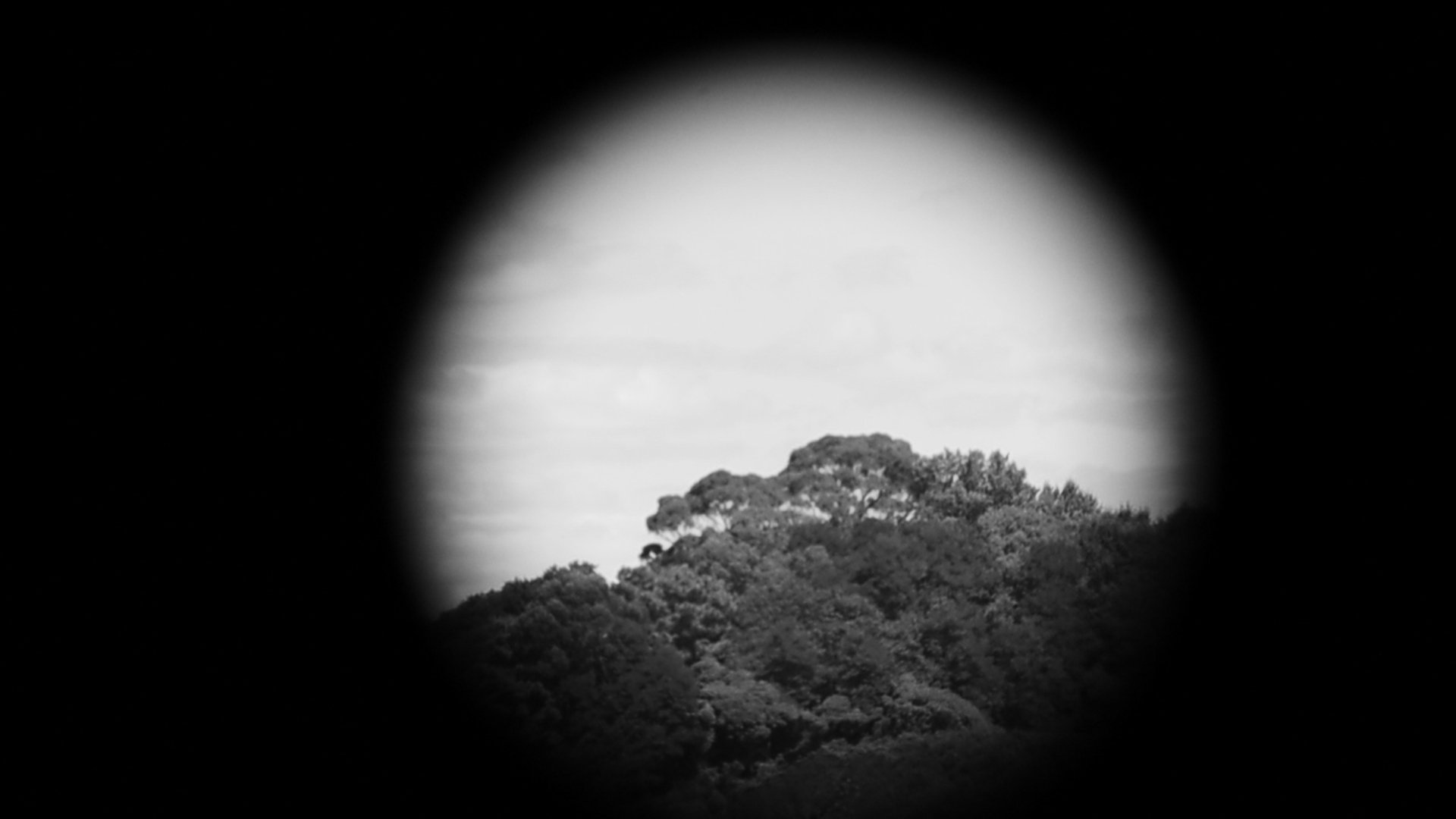 Backdrop for Trapallada (Saudade)