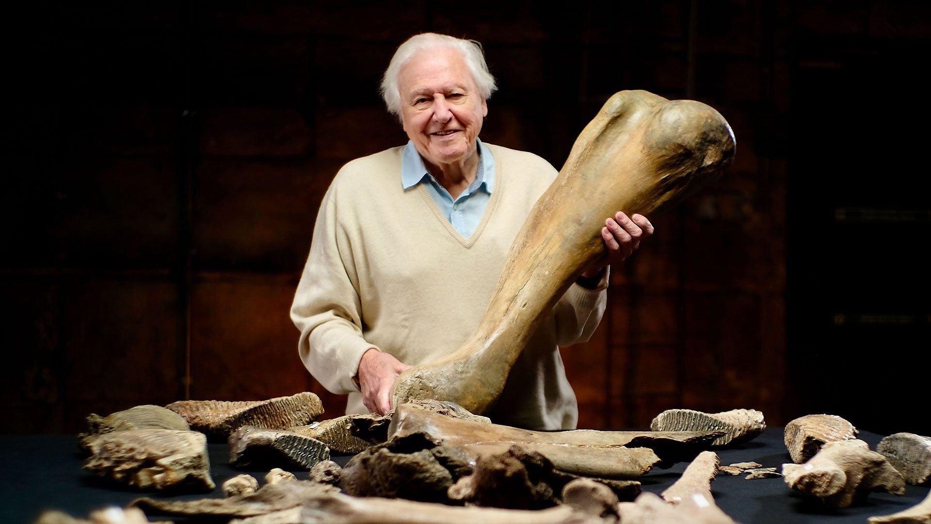 Backdrop for Attenborough and the Mammoth Graveyard