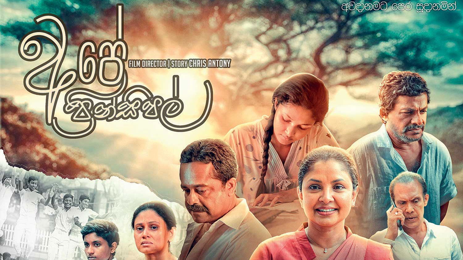 Backdrop for Ape Principal