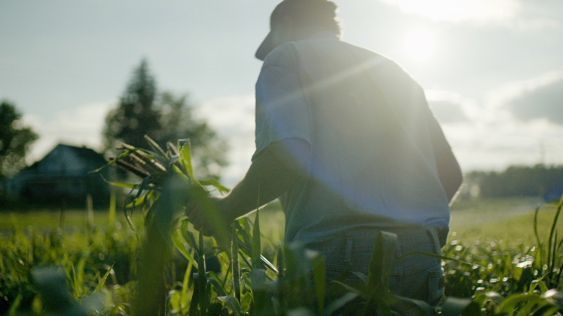 Backdrop for Wasted! The Story of Food Waste