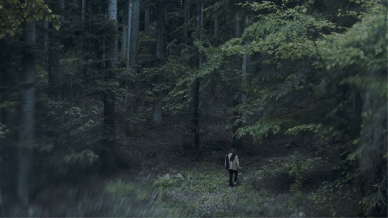 Backdrop for The Luminous View