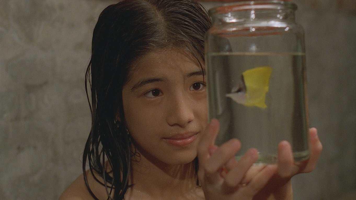 Backdrop for Tropical Fish