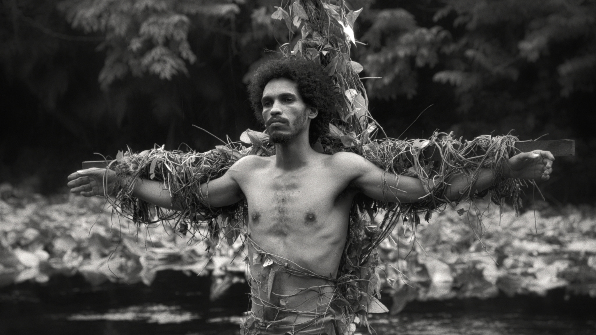 Backdrop for Oceans Are the Real Continents