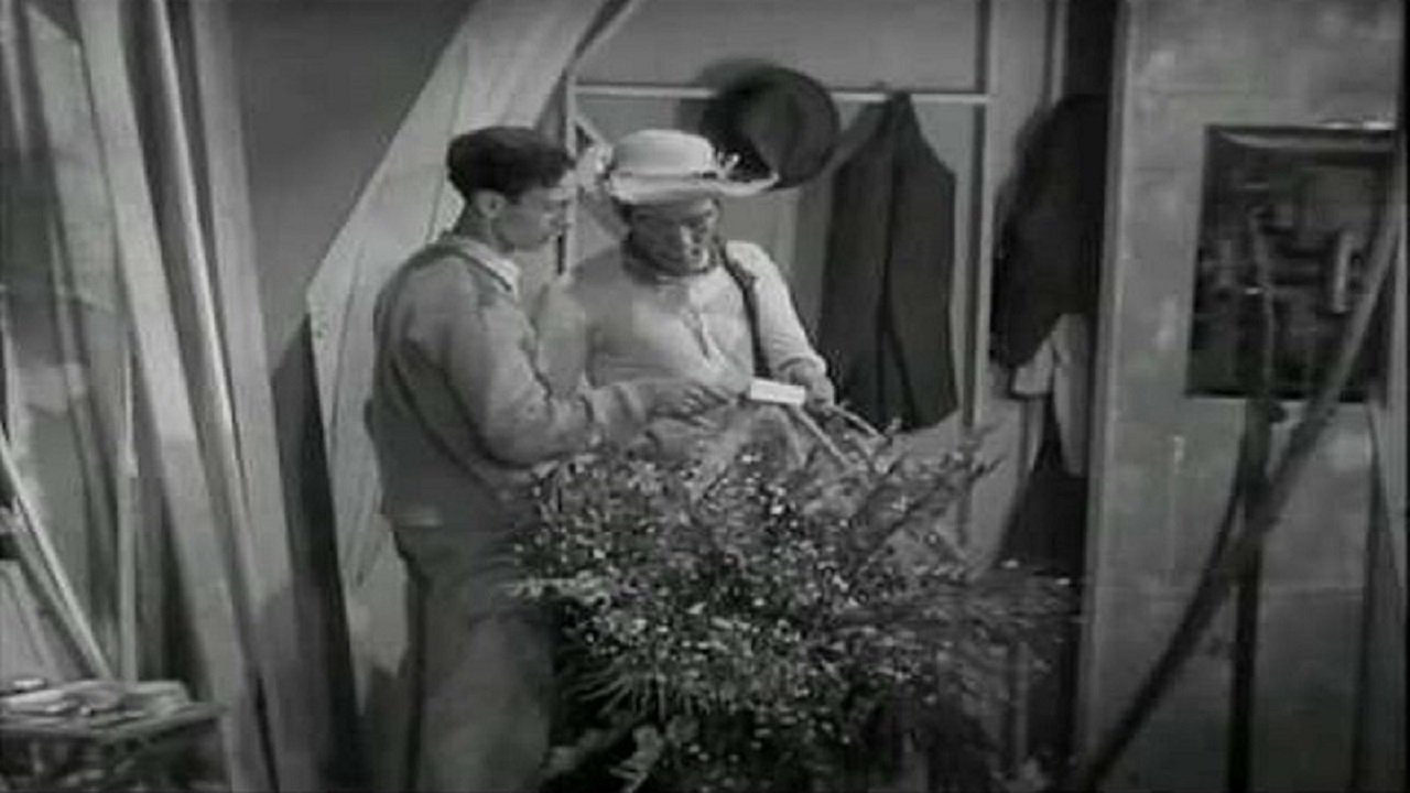 Backdrop for Águila o sol