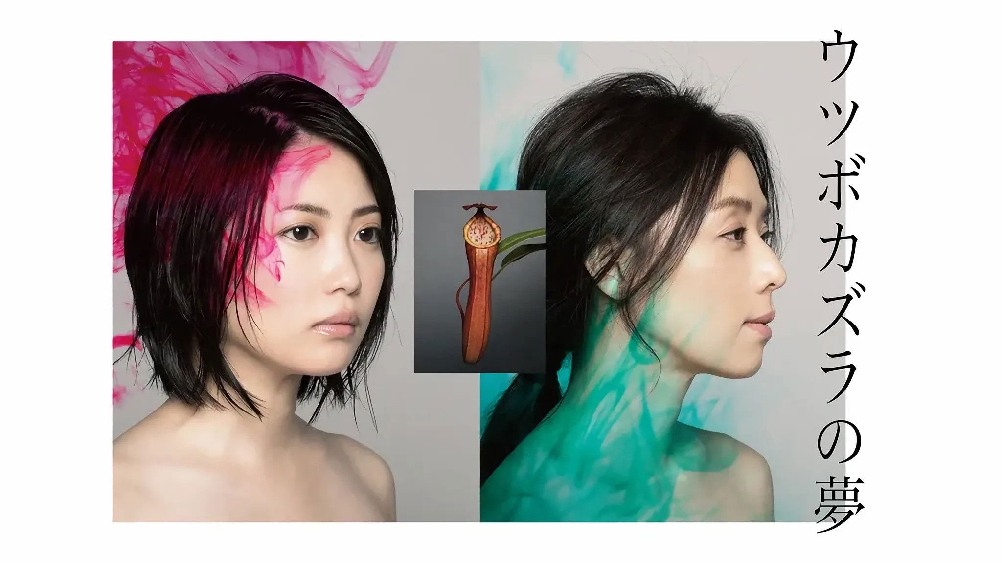 Backdrop for The Dream of Nepenthes