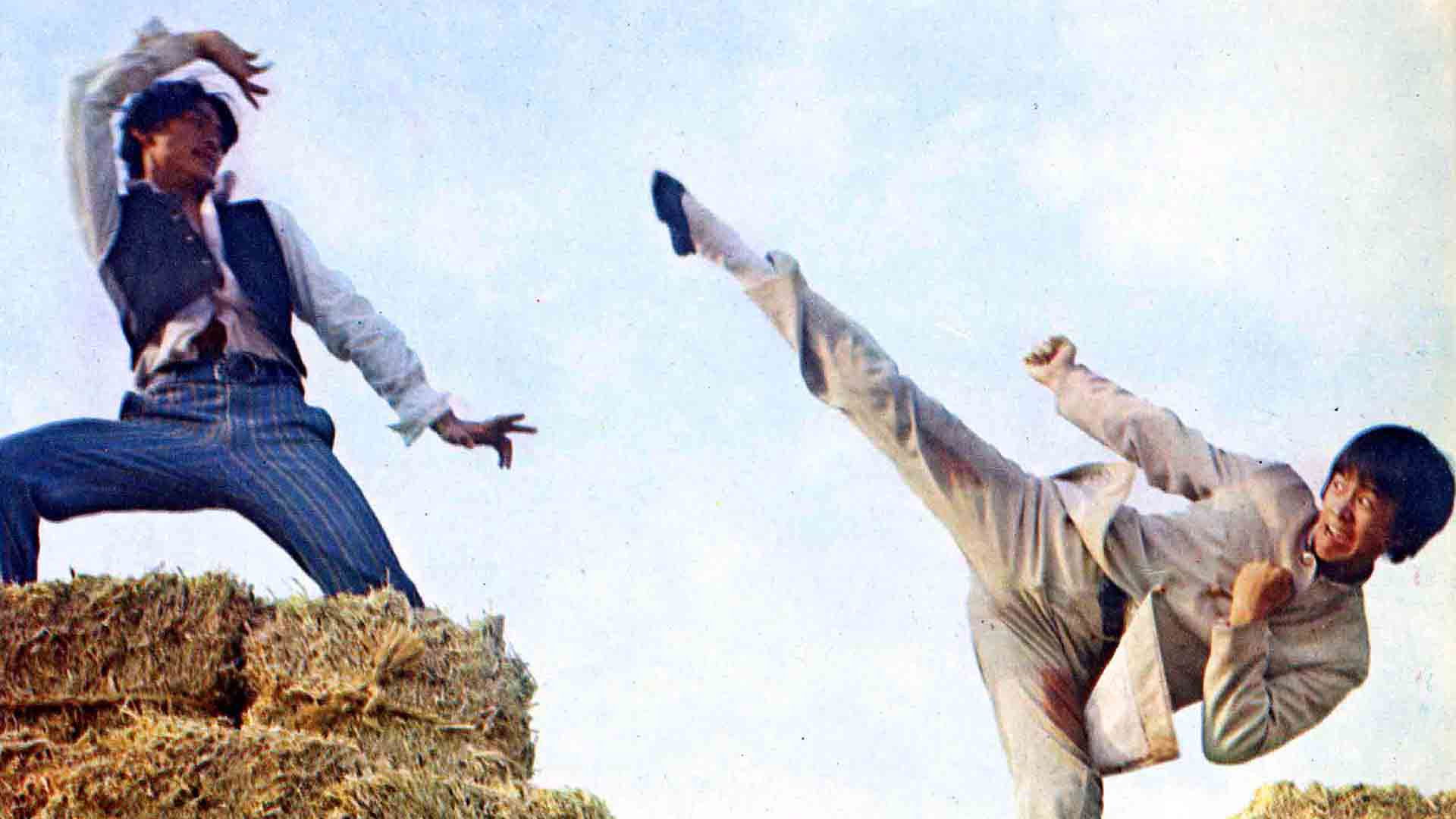 Backdrop for Bamboo Brotherhood