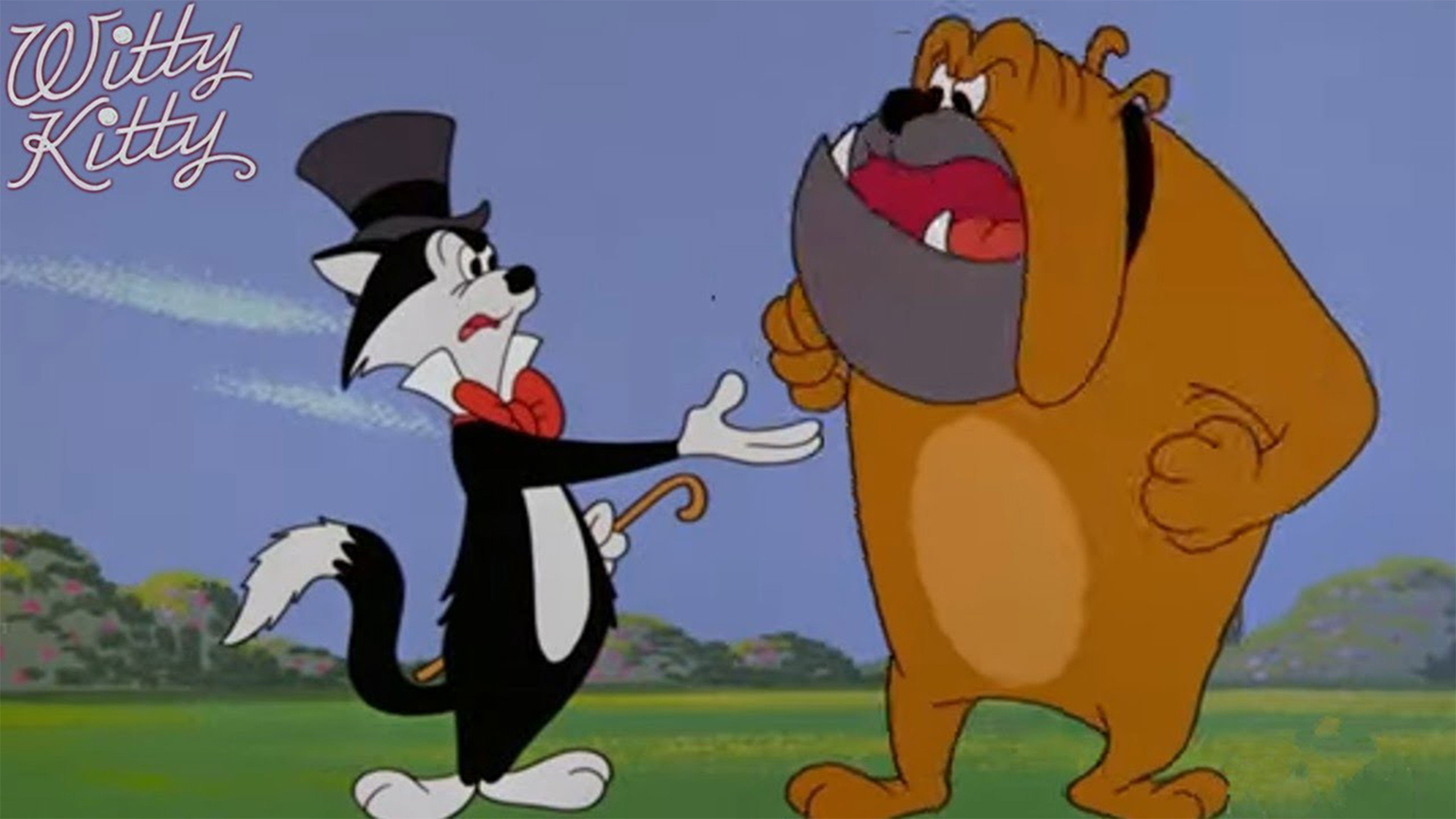 Backdrop for Witty Kitty