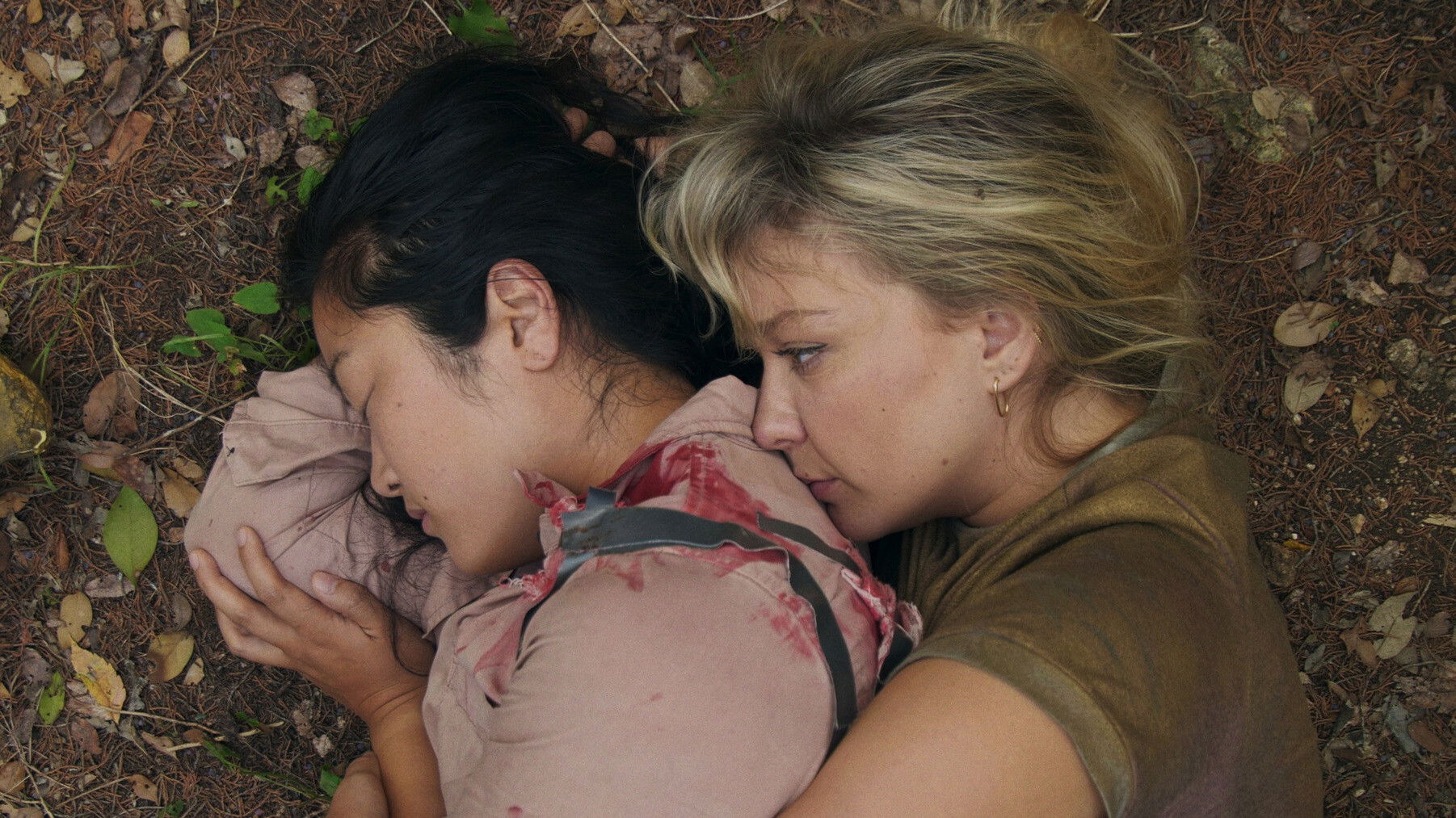 Backdrop for A Game in the Woods