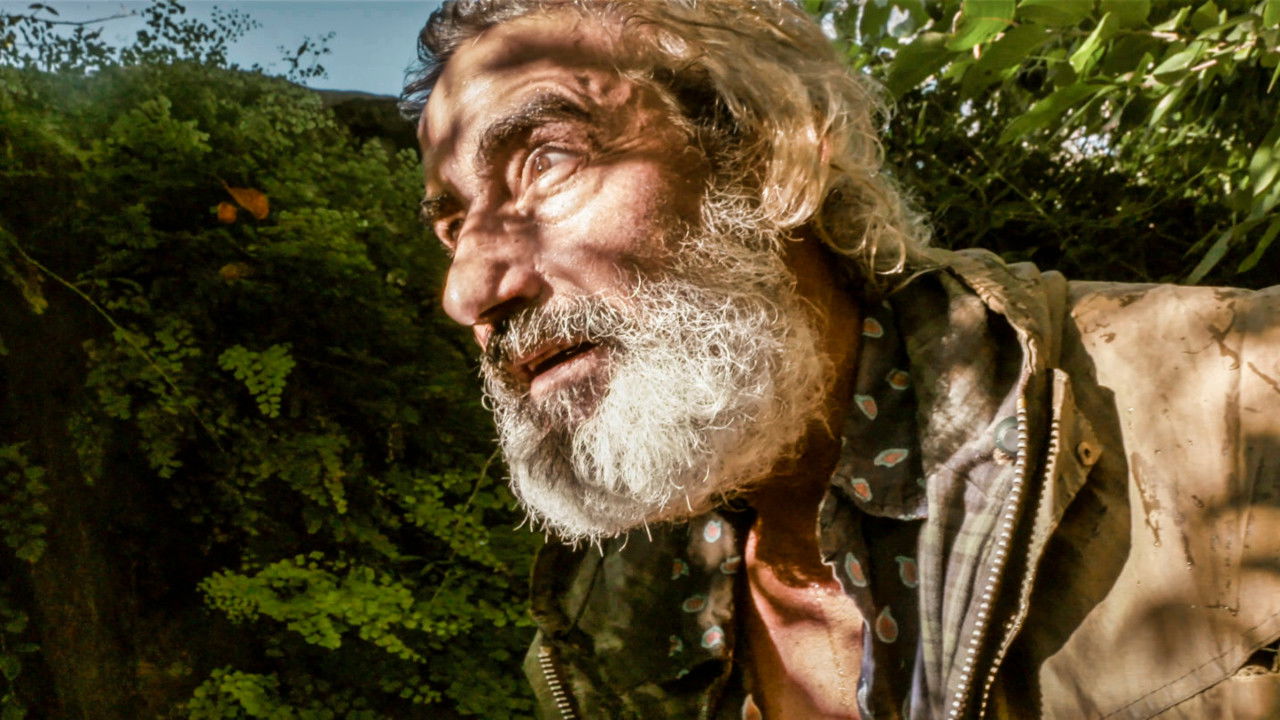 Backdrop for Un tiempo precioso