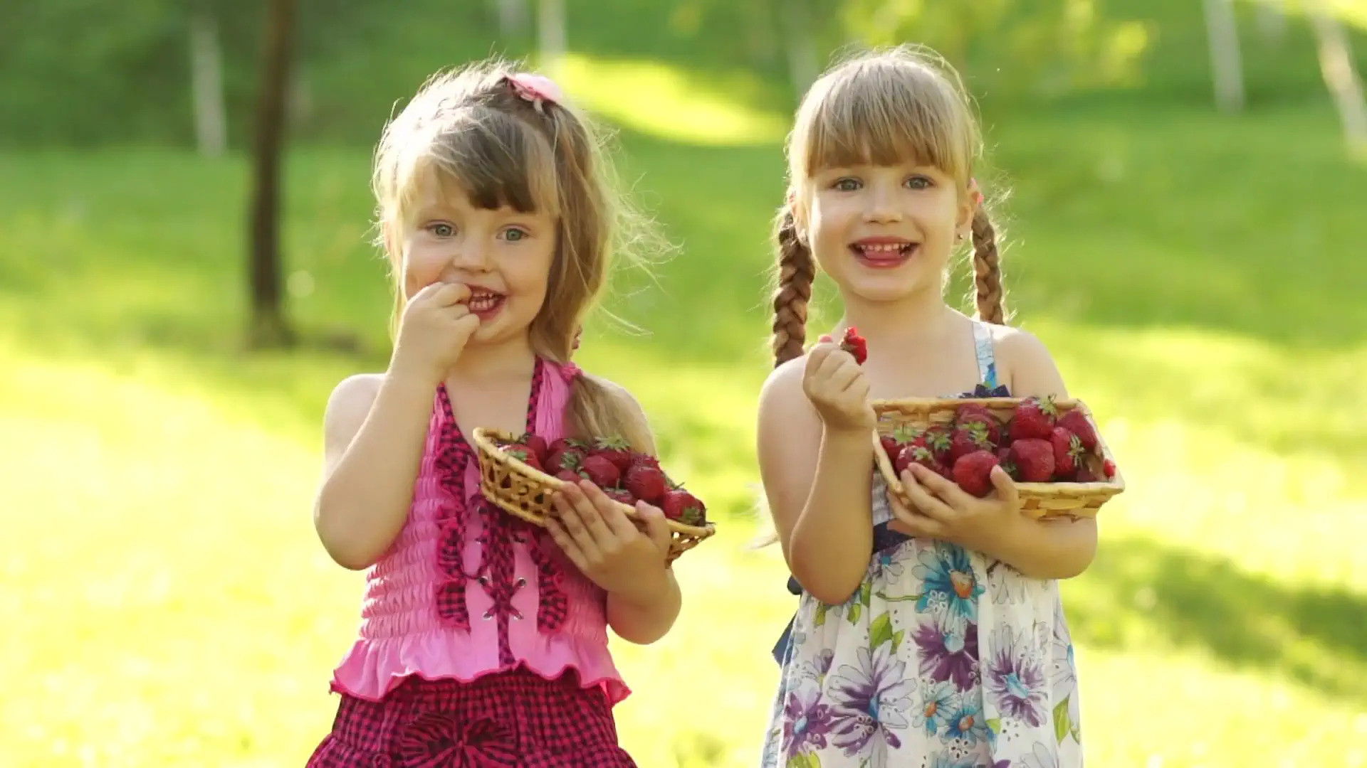 Backdrop for Earth Day