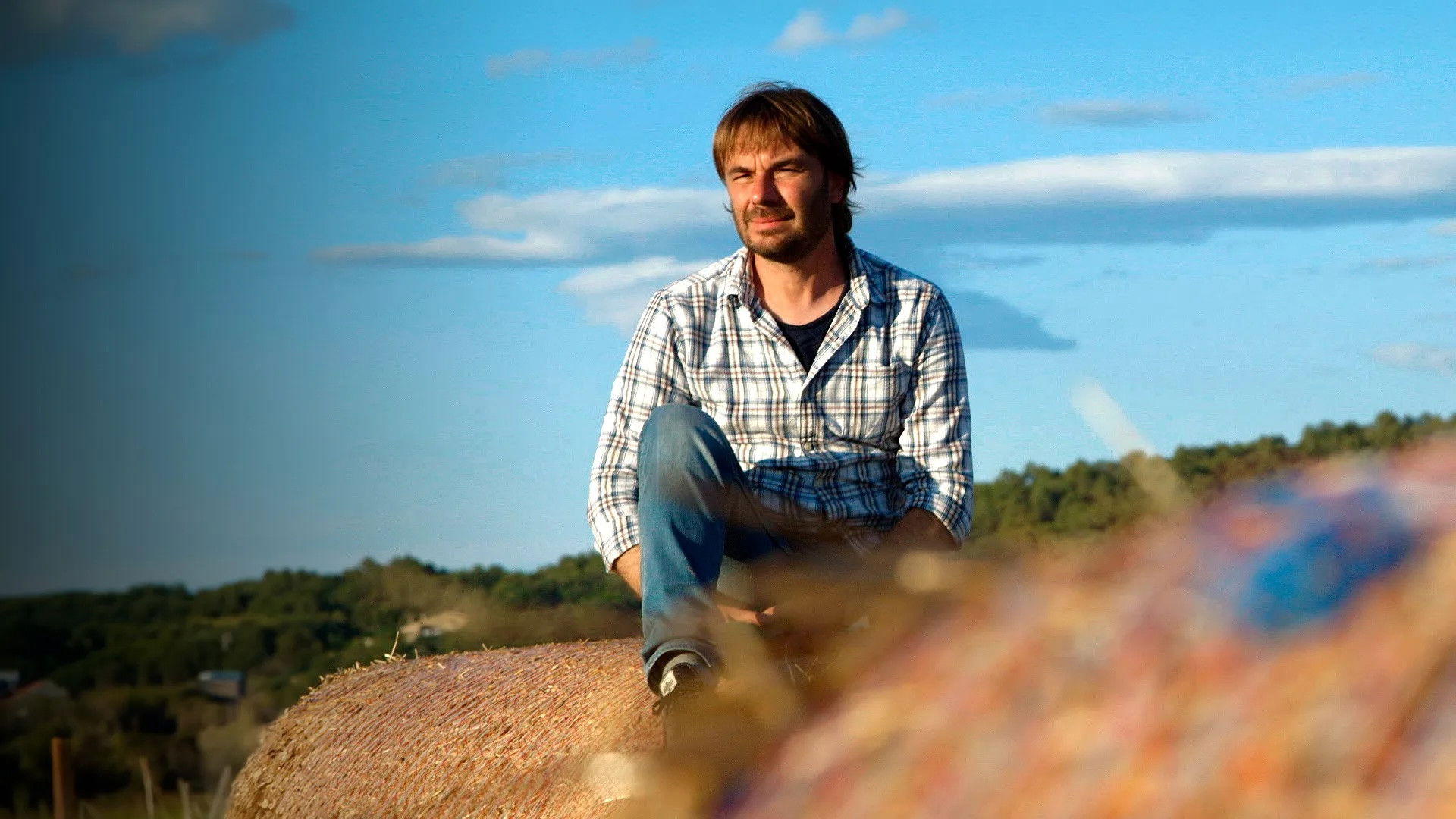 Backdrop for El foraster