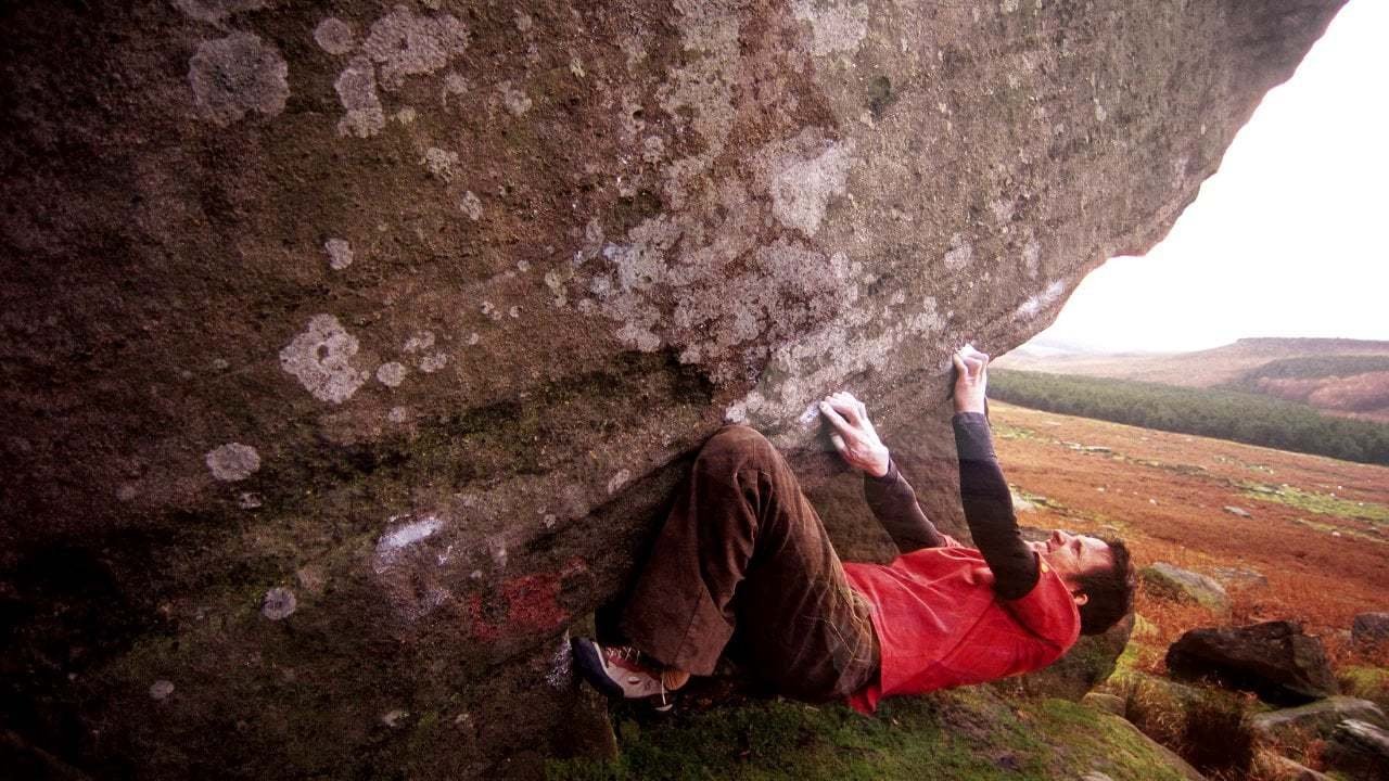 Backdrop for Winter Sessions