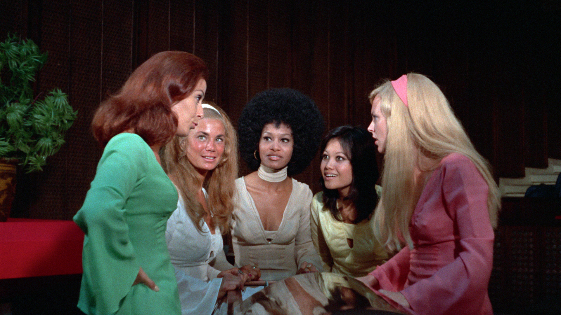 Backdrop for Wonder Women