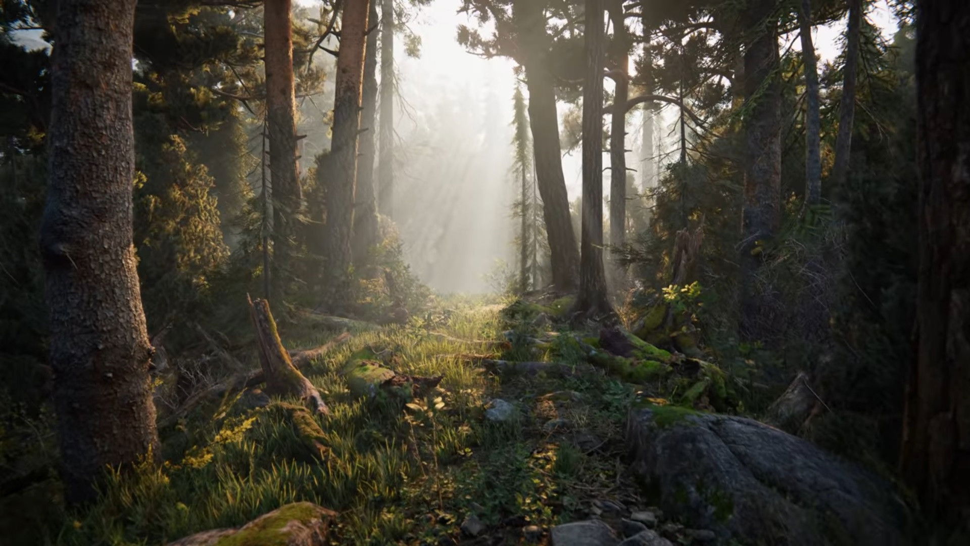 Backdrop for Book of the Dead