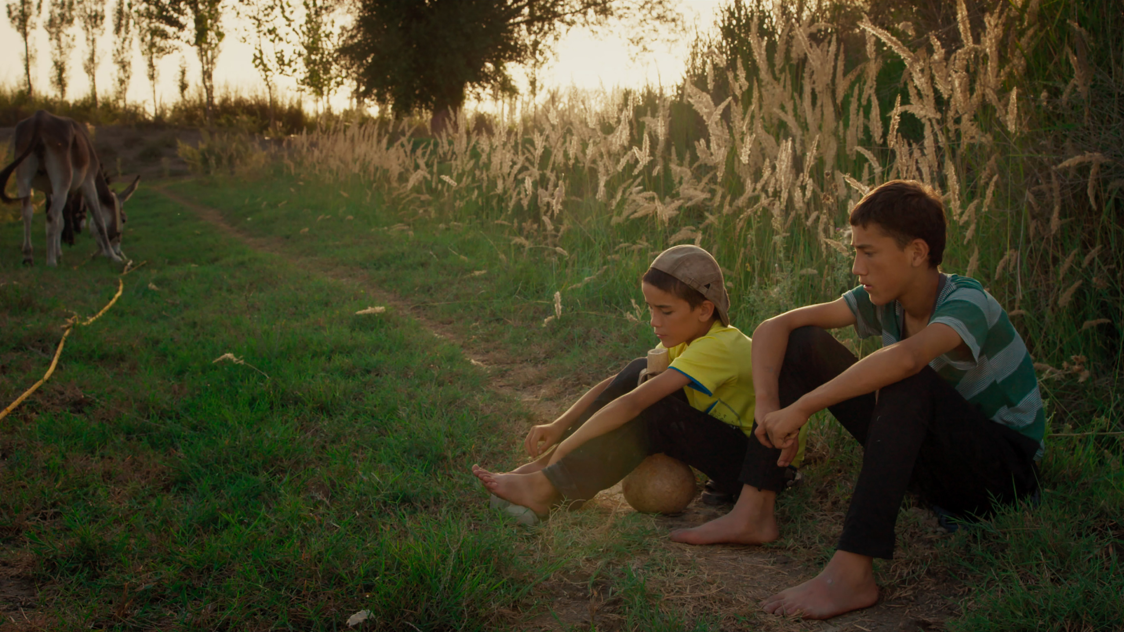 Backdrop for A First Farewell