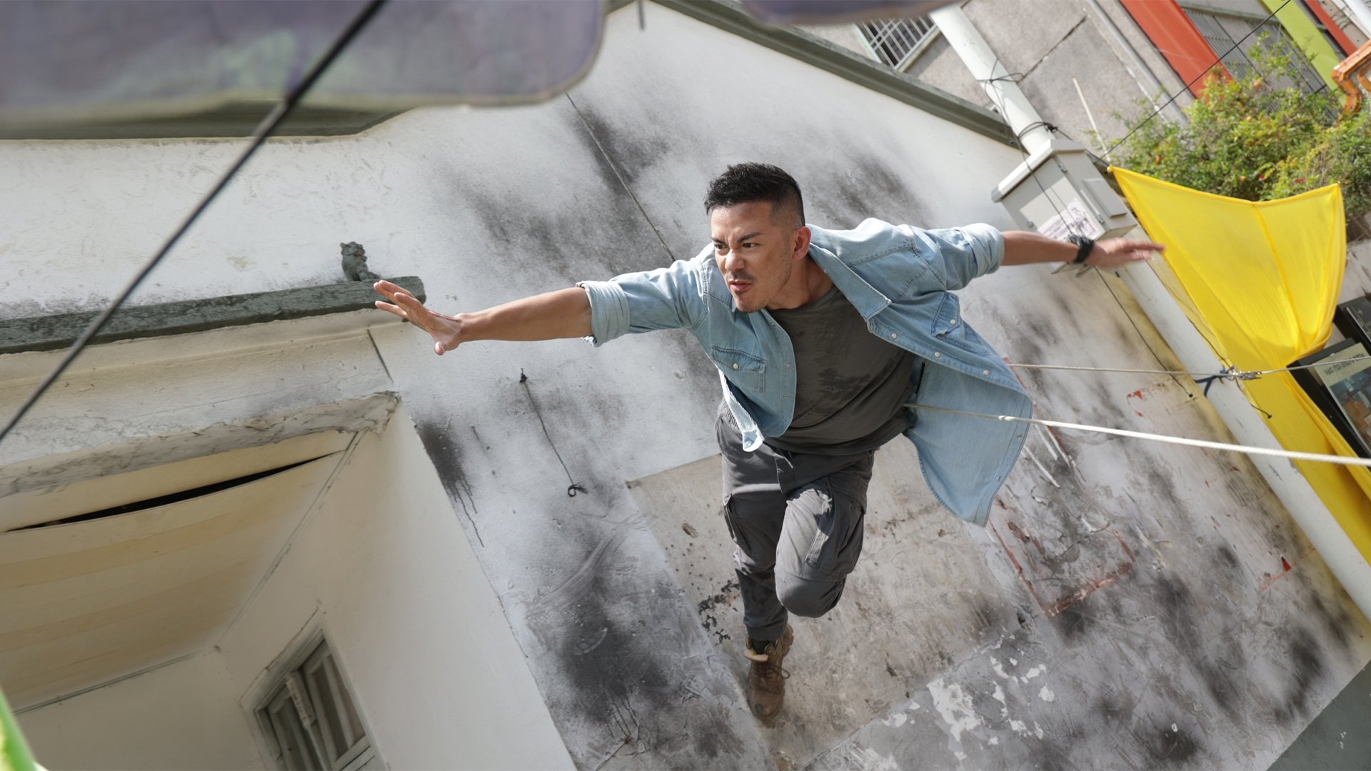 Backdrop for Crazy Lizard