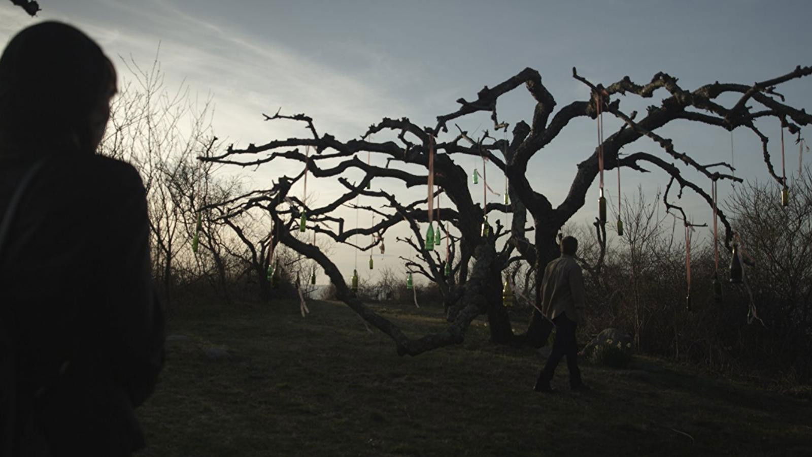 Backdrop for The Last Treasure Hunt