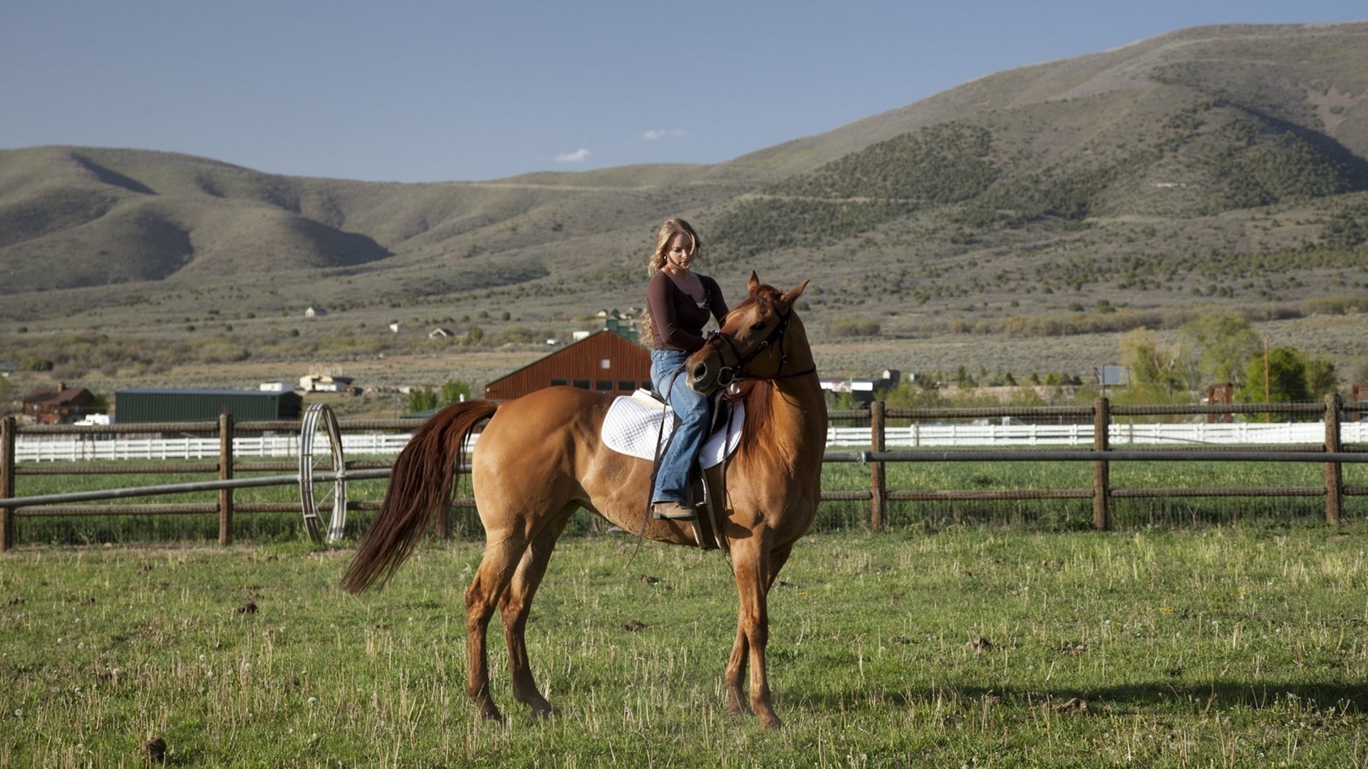 Backdrop for Storm Rider